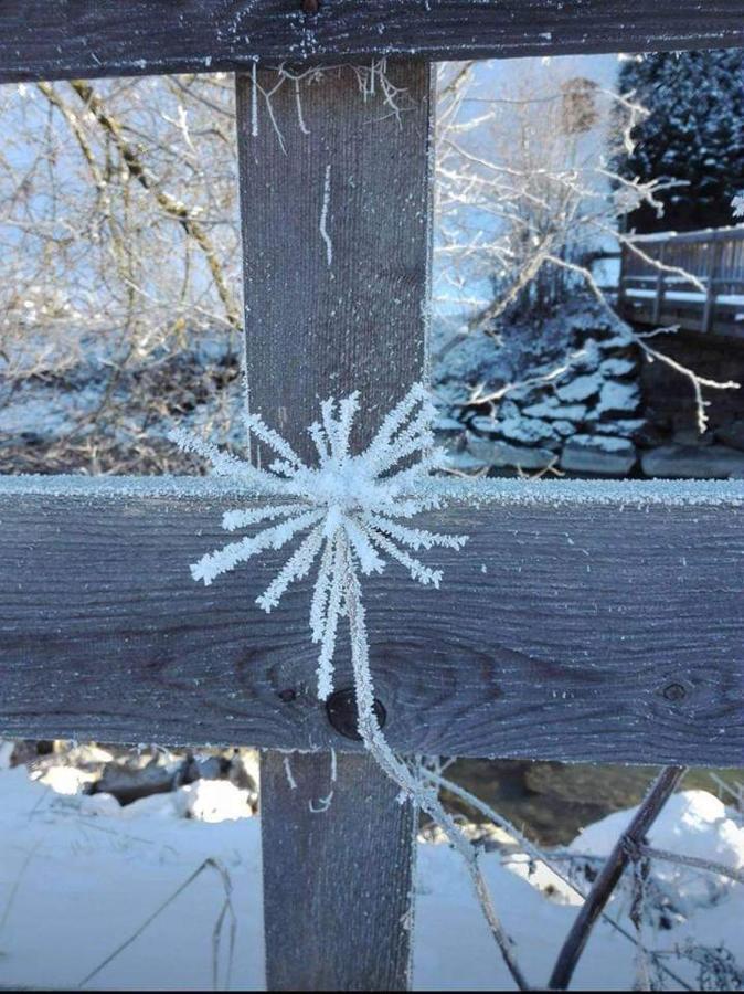 Gästeheim Krößbach Neustift im Stubaital Exterior foto